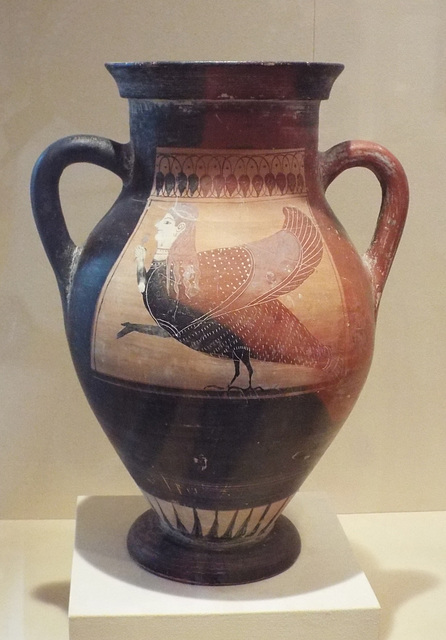 Black Figure Amphora Attributed to the Ivy Leaf Group in the Virginia Museum of Fine Arts, June 2018