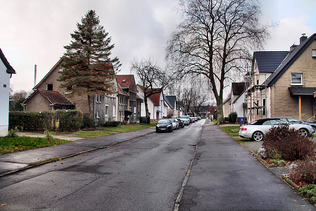 Richard-Wagner-Straße (Siedlung Zweckel, Gladbeck-Zweckel) / 24.12.2022