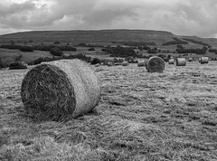 Late Summer in Wensleydale.