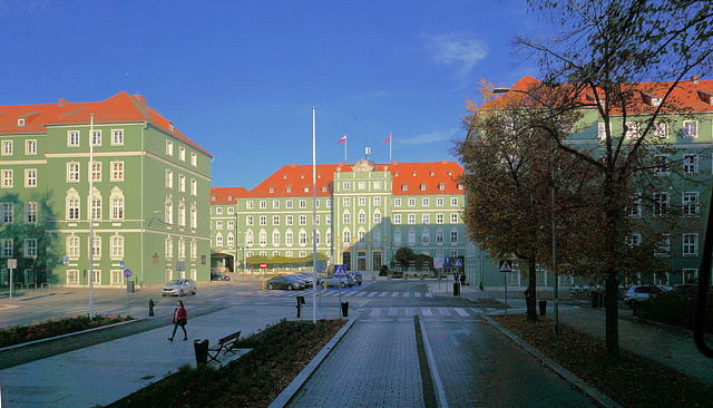 DSC03021