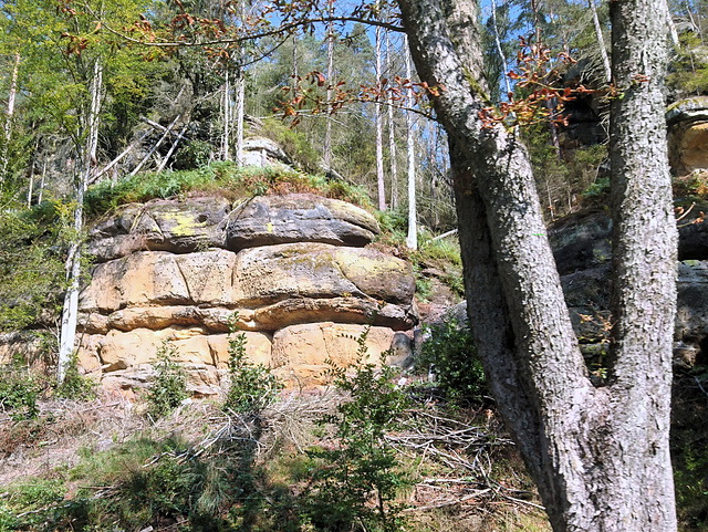 Elbsandstein, Sächsische Schweiz