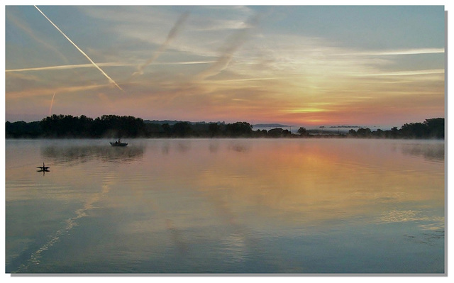 4 Un matin, un pêcheur, un cygne noir...