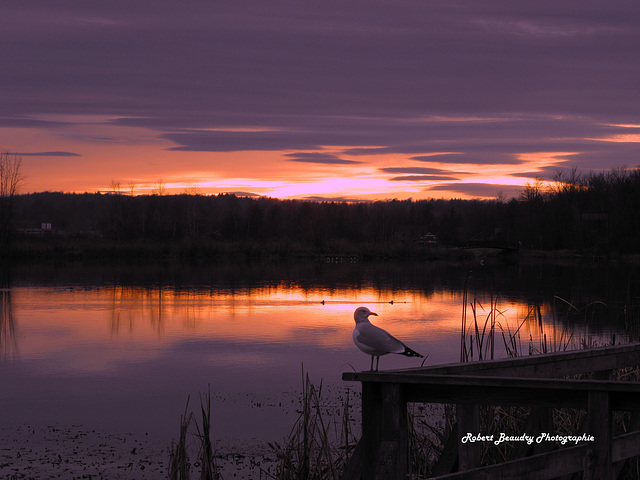 Le soleil se couche Le soleil se couche