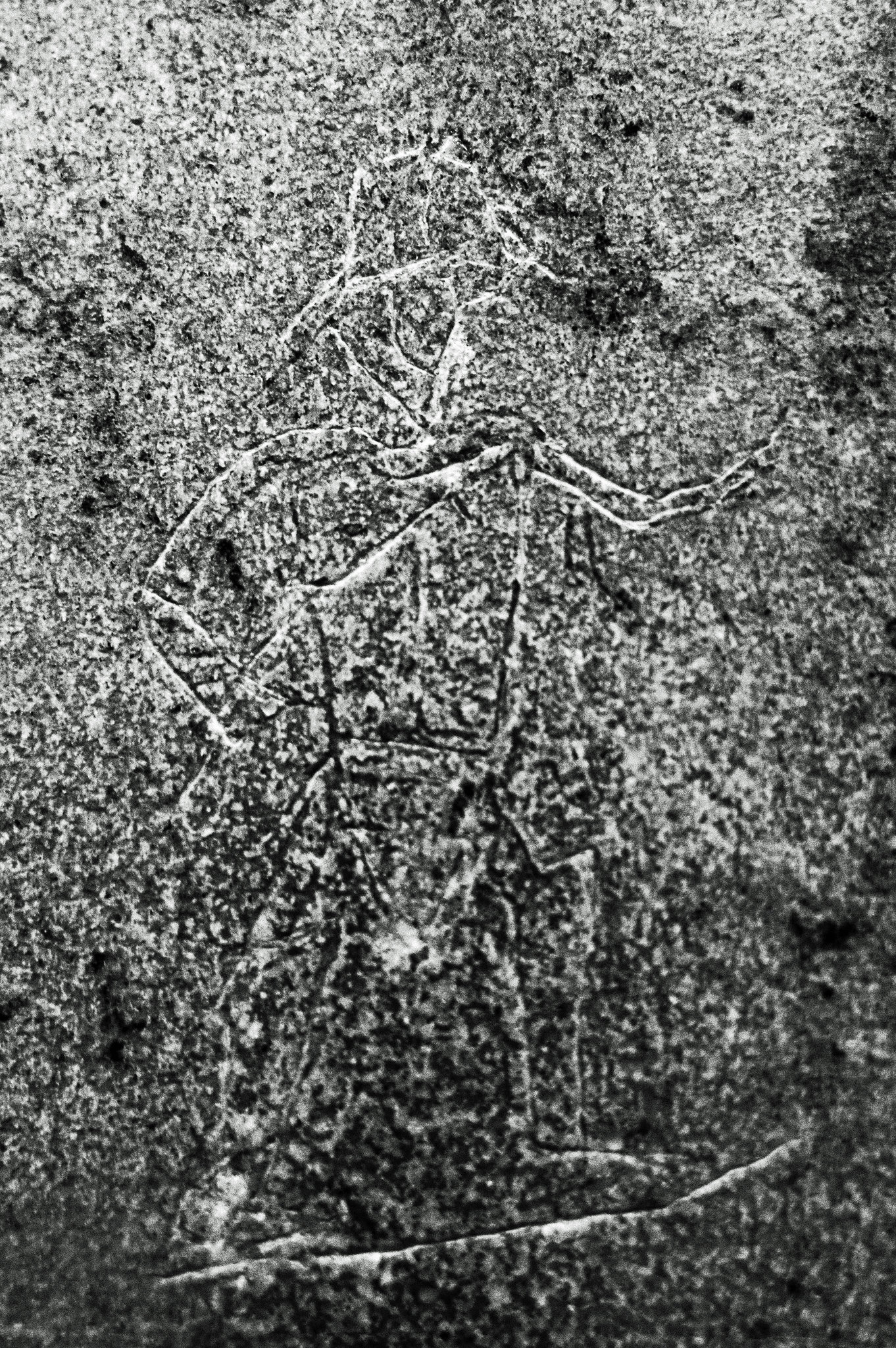 Pompeii GR 7 Carving 1