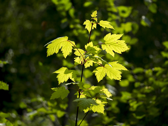 Standing Out Standing Out