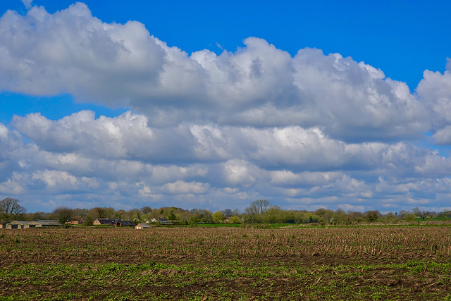 Fluffy clouds