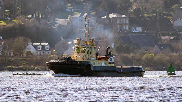 Tugboat "Svitzer Milford"