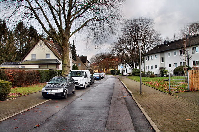 Richard-Wagner-Straße (Siedlung Zweckel, Gladbeck-Zweckel) / 24.12.2022