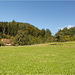 Remains of Tennenbach Abbey  17