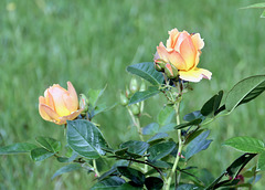 P1225149
