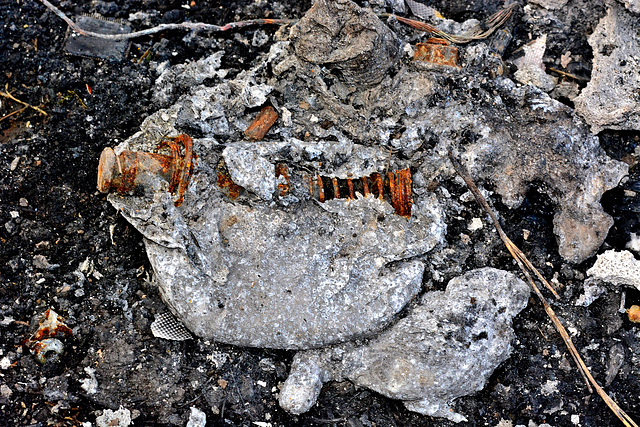 Remnants from a fire. Half term activity