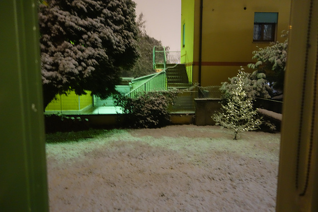 Snow in my side yard