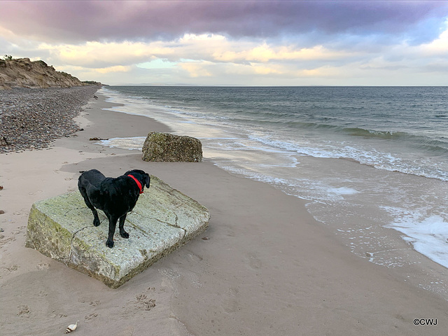 The Moray Coastal Trail - Findhorn Beach and sand dunes section