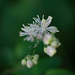 DSCF7797