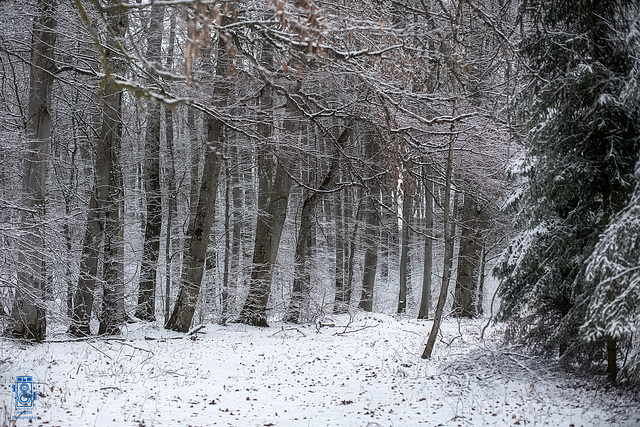 Albhochfläche bei Urach