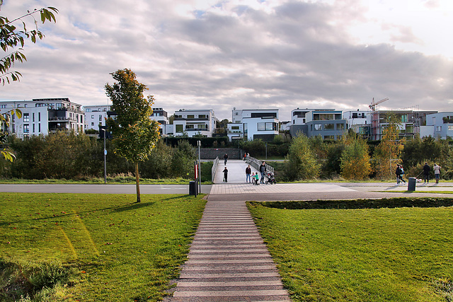 Emschertal nahe dem Phoenix-See (Dortmund-Hörde) / 21.10.2023