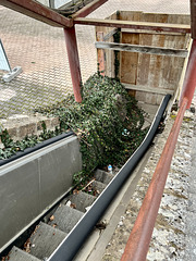 Orvieto 2024 – Escalator