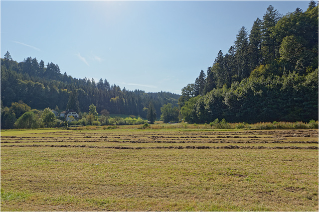 Remains of Tennenbach Abbey  18