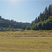 Remains of Tennenbach Abbey  18