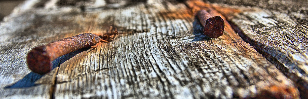 Nails In Wood