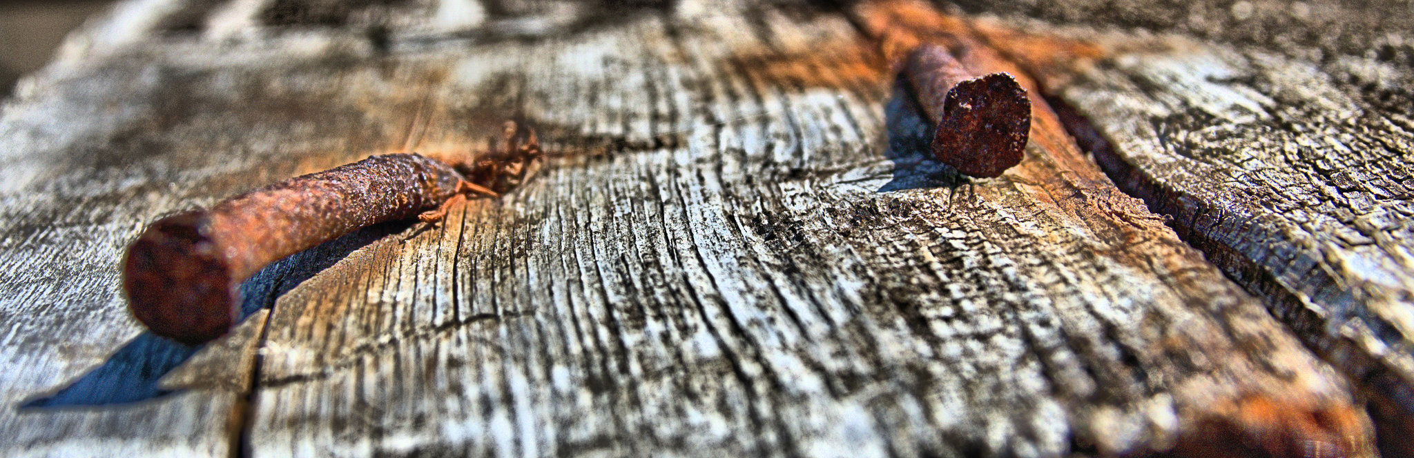 Nails In Wood