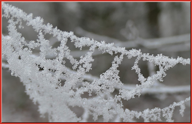 Dentelle de givre !