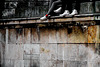 Weiße Schuhe