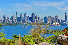 P1260148- Baie de Sydney depuis le zoo - Zoo Sydney. 25 février 2020