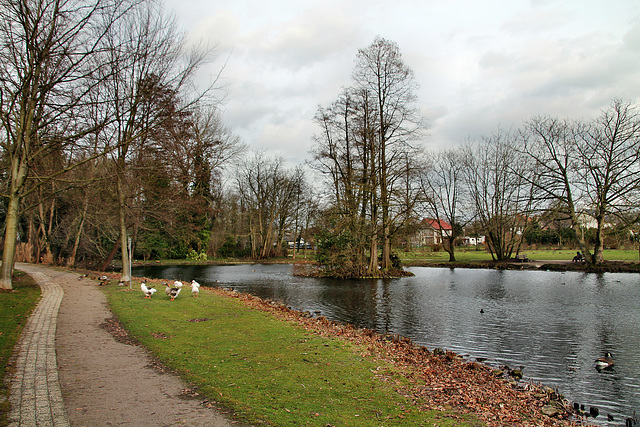 See im Volkspark (Datteln) / 19.02.2022