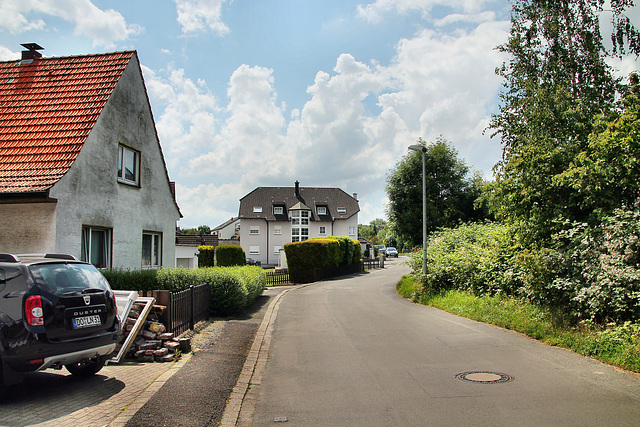 Westfeld (Fröndenberg-Ardey) / 11.06.2022