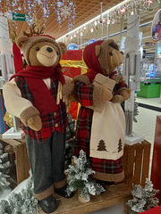 Décoration de Noël,  dans l'allée marchande , de Cora Carrefour , à Saint Jouan des Guérets (35)