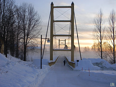 Fog at the Bridge