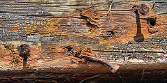 Nails In Wood