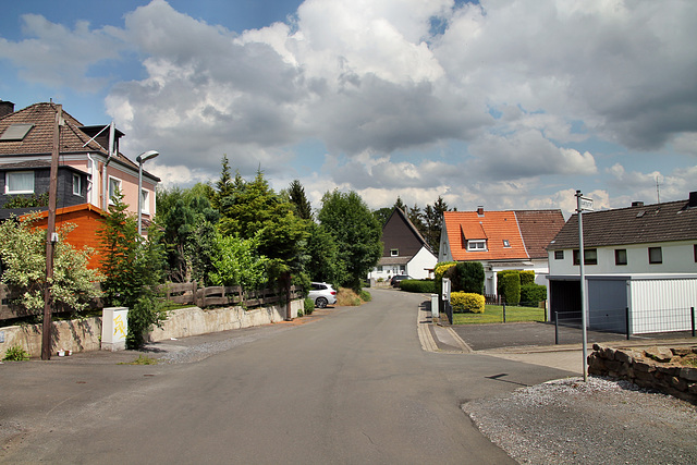 Westfeld (Fröndenberg-Ardey) / 11.06.2022