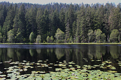 Am Herrenwieser See