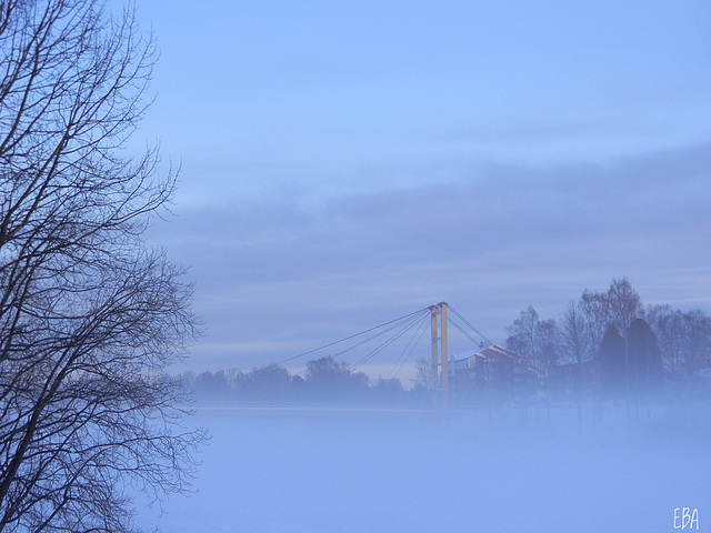 Magical Fog