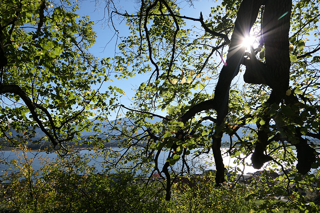 Hopfensee