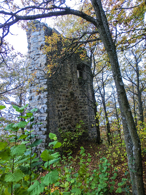 Burgruine Siegenstein