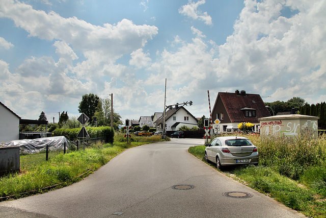 Westfeld (Fröndenberg-Ardey) / 11.06.2022