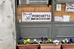 Orvieto 2024 – Porchetta di Orvieto