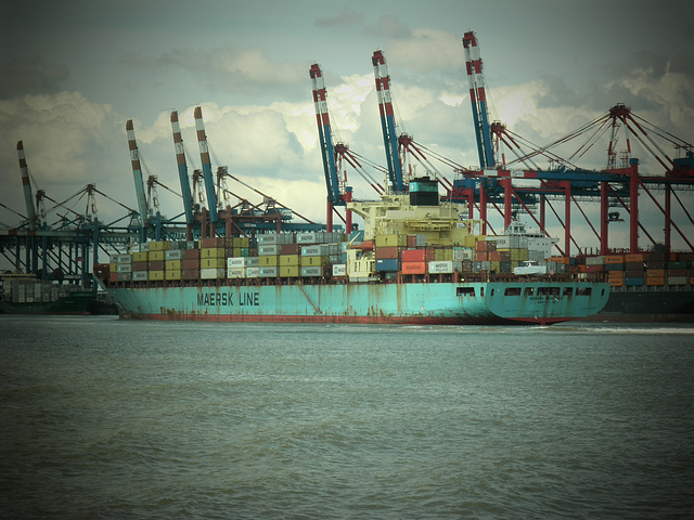 Containerschiff  MAERSK MONTANA