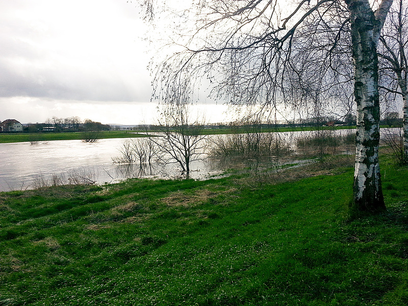 20150402 0014H w[D~SHG] Weser, Hochwasser, Rinteln