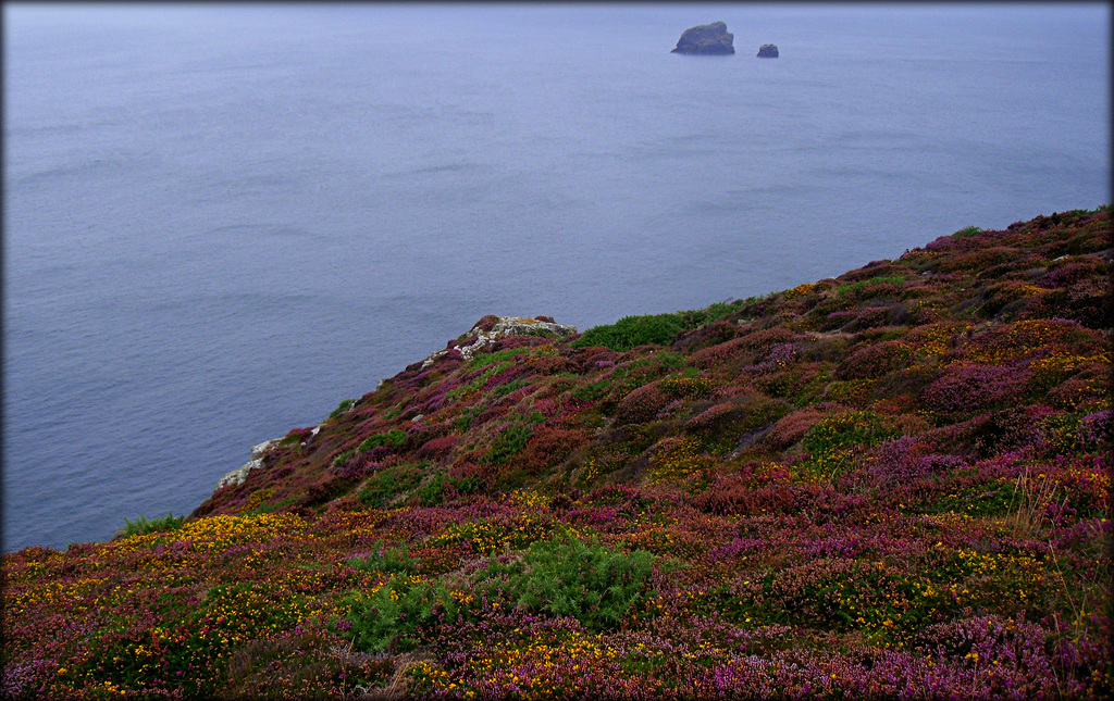 Cornish Coast