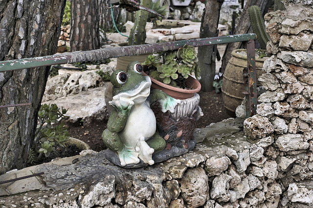 Mr Frog Says Hello – El-Muraqa Monastery, Daliyat al-Karmel, Israel