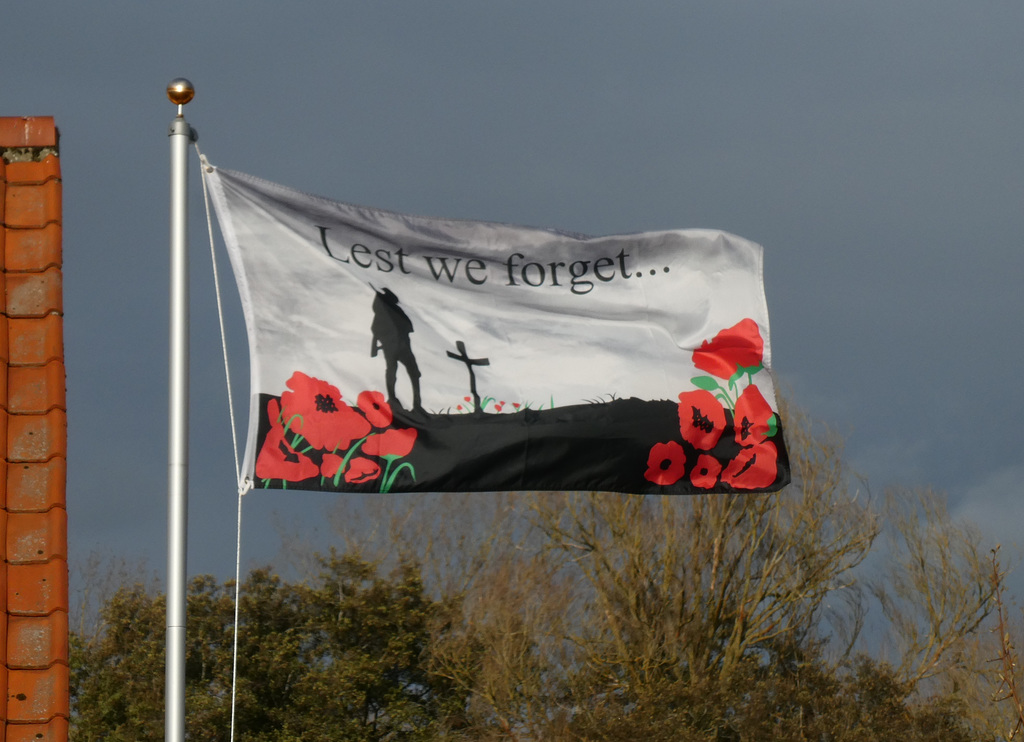 Poppies of Remembrance 2022 (P1090874)