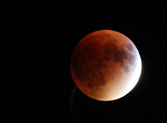 bloodMoon