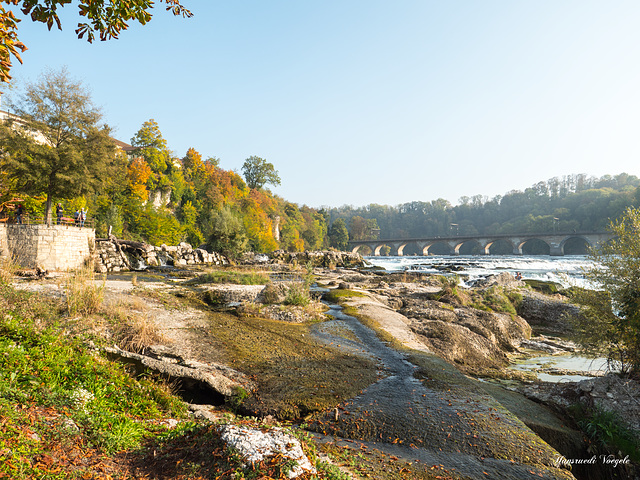 Am Rheinfall1