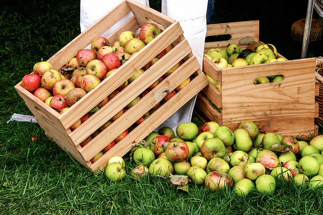 Trowbridge Apple Fair, 2015