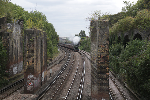 The Royal Windsor Steam Express