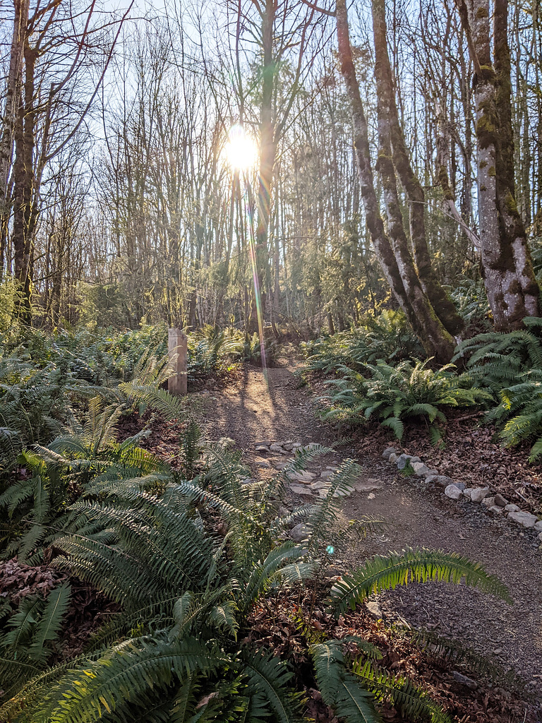 Looking up the Bike Trail